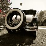 Market Analysis: Growth Trends in the Hybrid Vehicle Industry