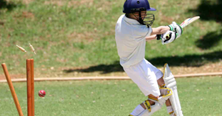 Why Selecting the Right Online Cricket ID Provider is Vital for Betting Success