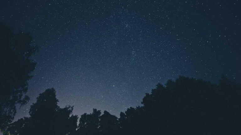 How Does Cricbet99 Withdrawal Process Work?