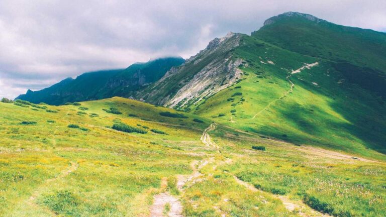 Is The 99 Exchange Black Version Different From The Regular One?